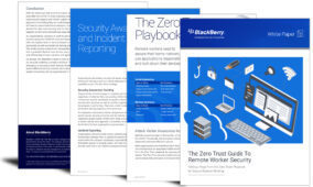 The Zero Trust guide to remote worker security