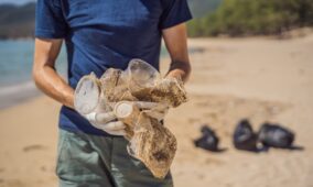 AI app lends a hand in ending plastic waste to save the environment