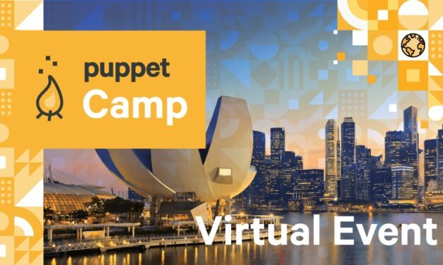 Virtual Puppet Camp Singapore