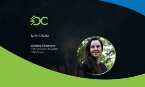 Protecting intellectual property in a digital world
