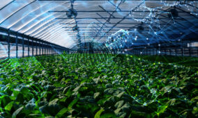 Food traceability and supply sustainability partnership runs on blockchain