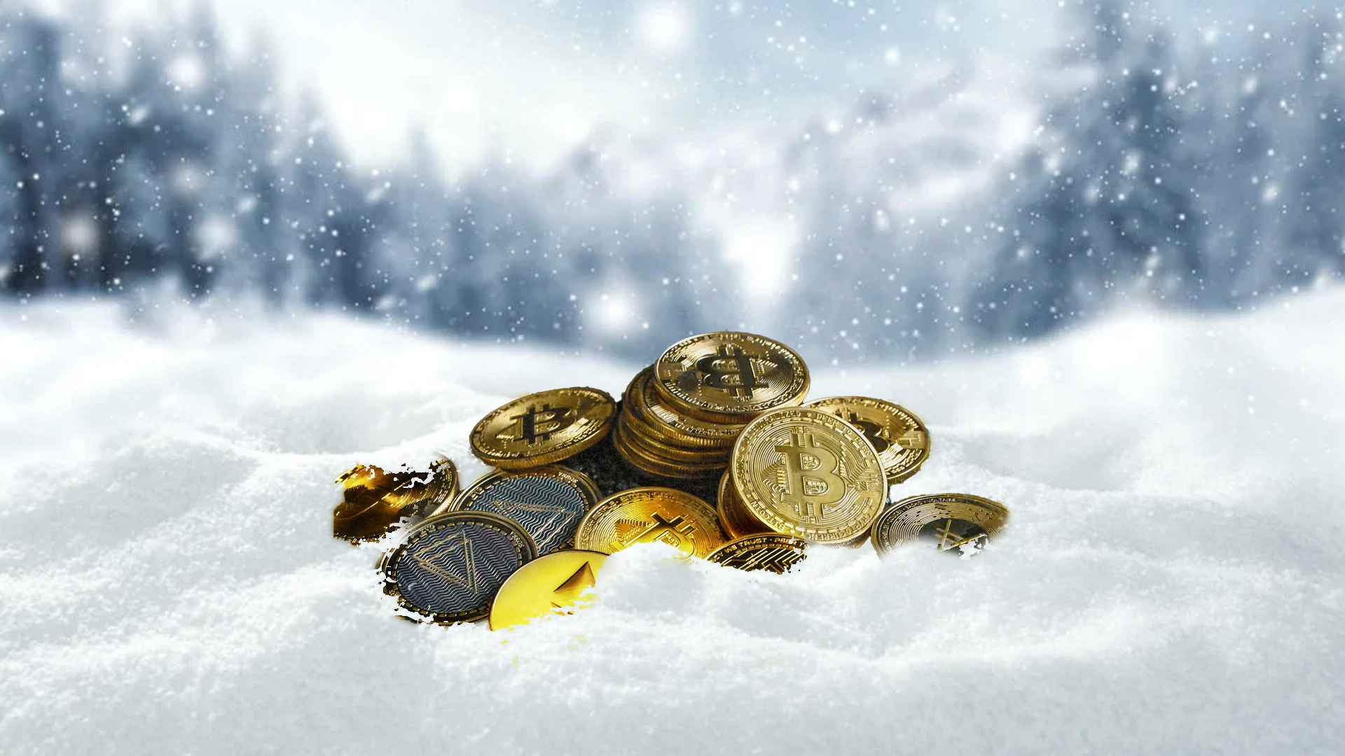 How to survive the crypto winter | DigiconAsia