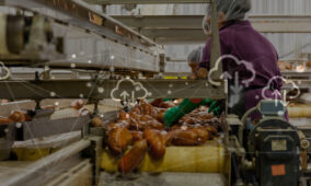 India’s tech-averse food industry finally acclimatizing to the Cloud
