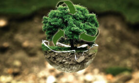 Sustainability tops executive agendas globally, except in APAC, study claims