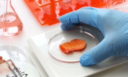 Fancy some structured, 3D-bioprinted tuna steaks?