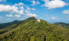 Telcos need to address inflation risks amid runaway inflation levels