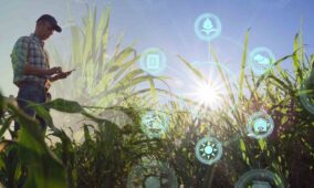 Johor state launches digital agro-food hub to uplift farming efficiency, sustainability