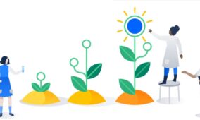 97% of Indian knowledge workers expect employers to act on corporate social responsibility