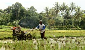 Japfa boosts farming and food production operations with new data tools