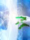 Agentic AI automation prescribes better healthcare for Speedoc (Singapore) patients
