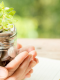 CreditAccess Grameen enhances operational efficiency and accelerates time-to-market