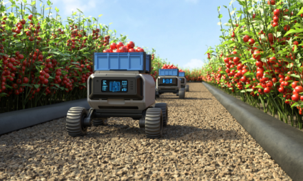 Robotic automation boosts vegetable planting and harvest efficiency in China