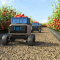 Robotic automation boosts vegetable planting and harvest efficiency in China