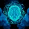 AI models of the human brain work, but scientists are confounded