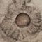 New fossil discoveries remind humankind to embrace evolving knowledge, shed hubris