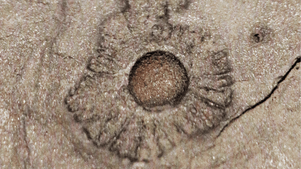 New fossil discoveries remind humankind to embrace evolving knowledge, shed hubris