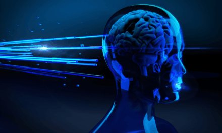 Concept of AI consciousness criticized as misguided and potentially harmful: AI chief