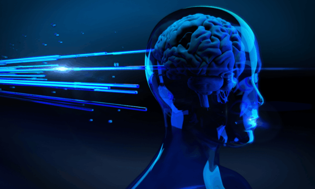 Concept of AI consciousness criticized as misguided and potentially harmful: AI chief