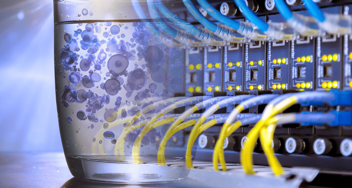 Malicious cybercriminals are tapping aggressive strategies in 2026