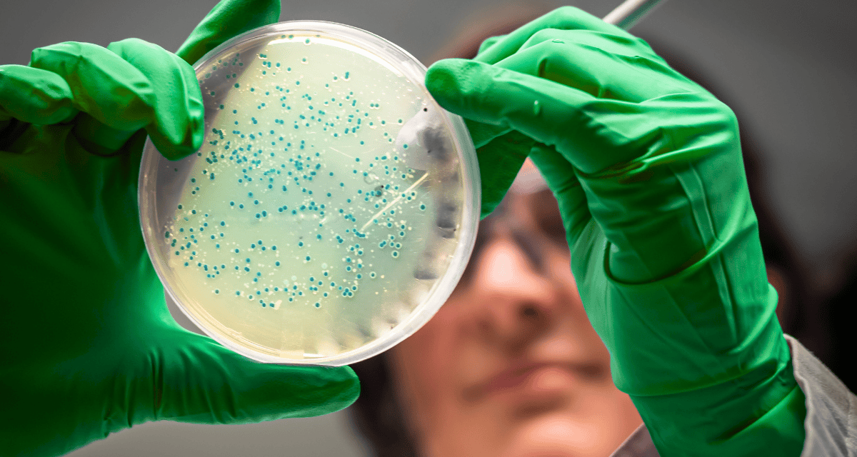 Tiny mismatch in particle decays hints at flaws in the Standard Model: CERN