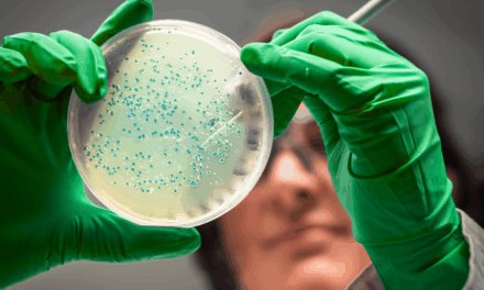 Tiny mismatch in particle decays hints at flaws in the Standard Model: CERN