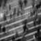 AI models governing simulated societies show divergent stability, crime, survival outcomes