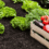Agrifood firm Japfa centralizes HR operations through cloud platform deployment Agrifood firm Japfa centralizes HR operations through cloud platform deployment